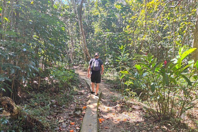 16 Lines Zipline, Cave, Hiking & Biausevu Waterfall Combo Tour - Swimming beneath the waterfall