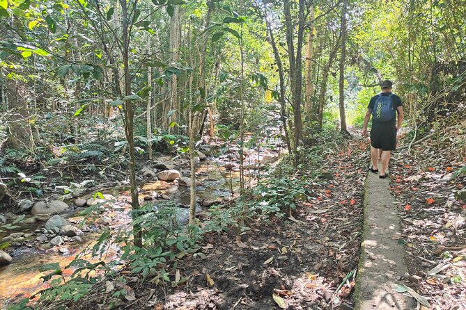 16 Lines Zipline, Cave, Hiking & Biausevu Waterfall Combo Tour - Pickup, group size, and the early start