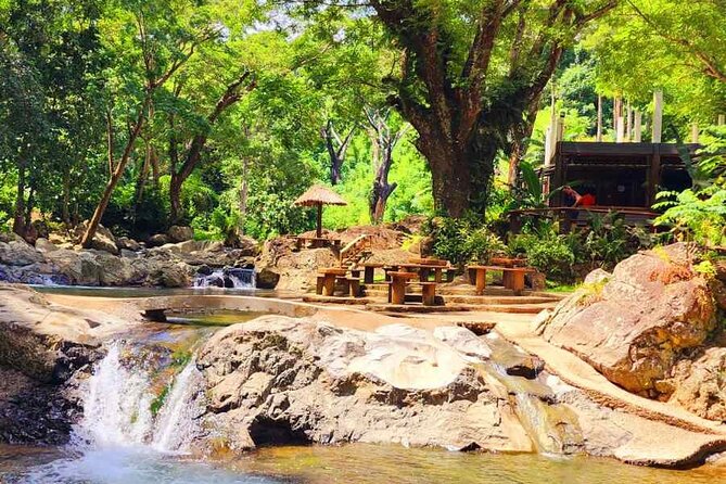 6 Hours Giant Zipline Adventure Park in Fiji - Reaching Sleeping Giant from Denarau and Nadi