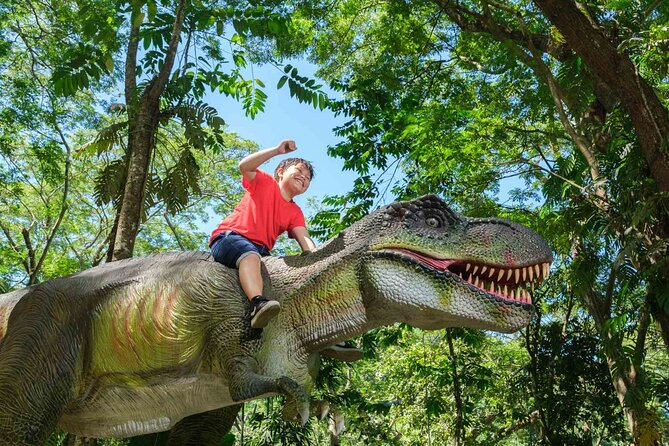 6 Hours Giant Zipline Adventure Park in Fiji - Seven lines, 700 meters, and speeds up to 40 km/h