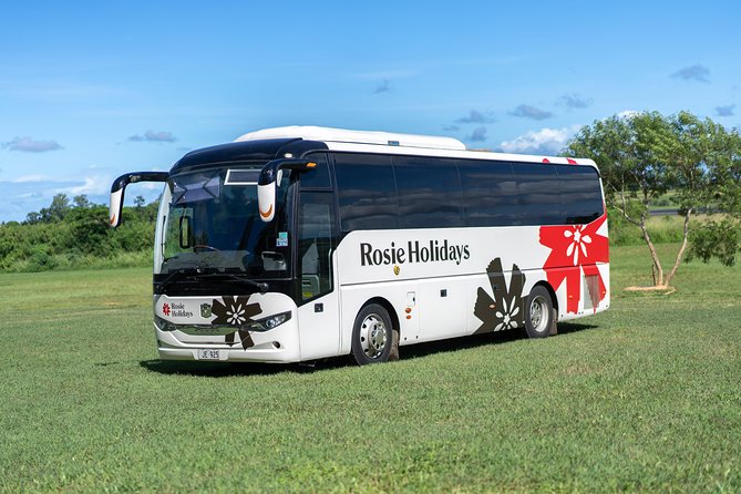 Arrival Shared Transfer : Airport to Hotel - Key points before you book