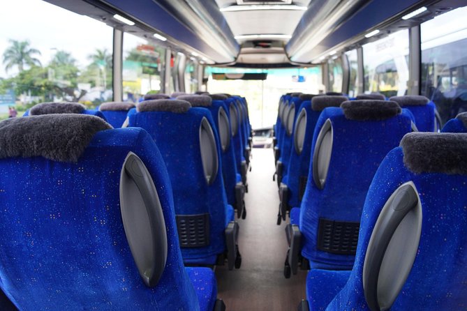 Arrival Shared Transfer : Airport to Hotel - What you gain from the driver