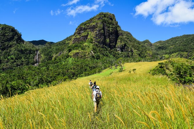 ATV Quad Bike Adventure Tour Inc Hot Springs & Mud Pool (Departs Nadi) - Who should book this outing