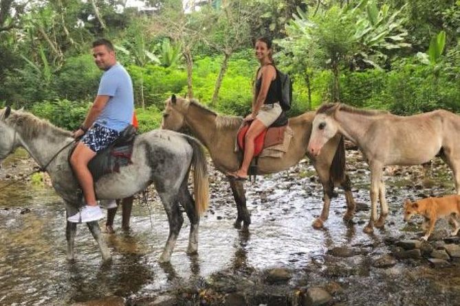 Authentic Fijian Day Tour - Why this private Fiji tour is different