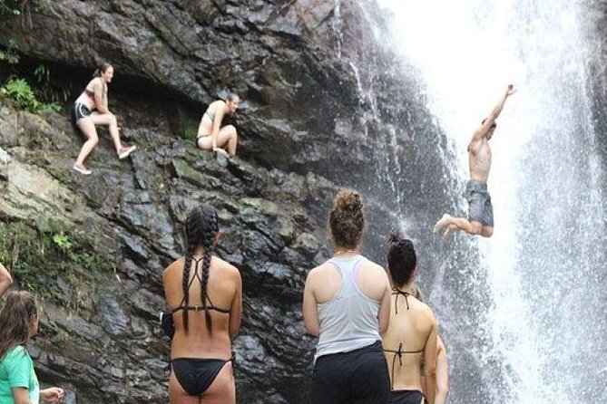 Authentic Fijian Day Tour - From Nadi to the village and waterfall