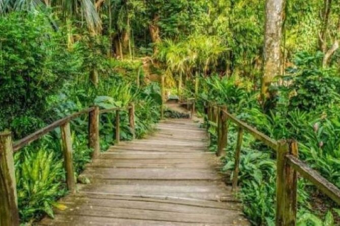 Best of Fiji Tours: 3 Days Package - Day 3: Fiji’s largest zipline and a cave outing
