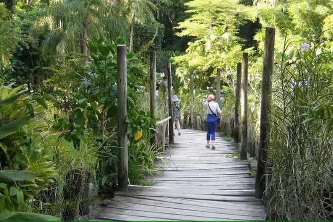 Best of Nadi Highlights - Namaka Market brings Fiji to the senses