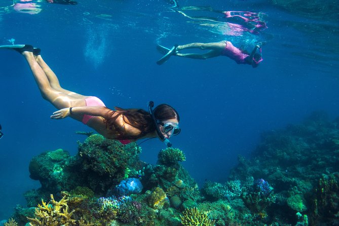 Capt Cook Cruises Super Saver Combo: Day Sail + Dinner Cruise - Sailing 1 hour and 15 minutes to Tivua