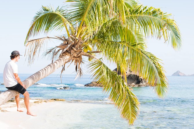 Coconut Cruiser Package | 7Days | 6Nights with All Activities Included - Day 5: Sharks, night snorkeling, and a simpler island night