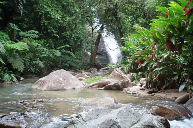 Coral Coast Adventure: Biausevu Waterfall & Natadola Beach - Biausevu Waterfall requires proper shoes
