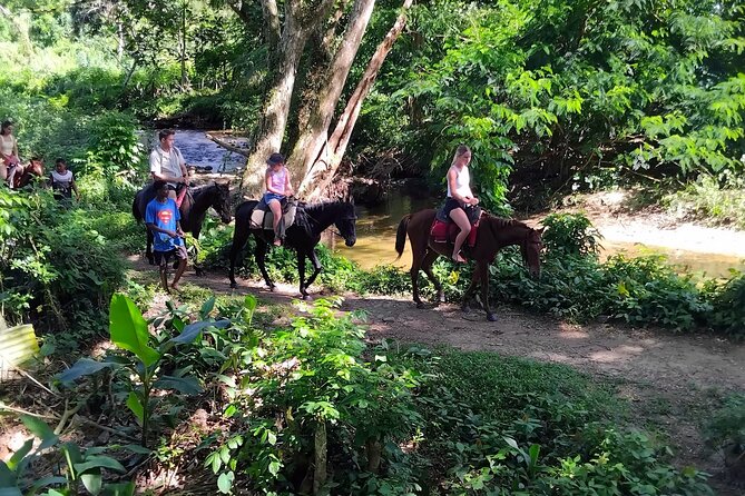 Coral Coast Adventure: Biausevu Waterfall & Natadola Beach - Lunch and souvenirs at Baravi Handicrafts
