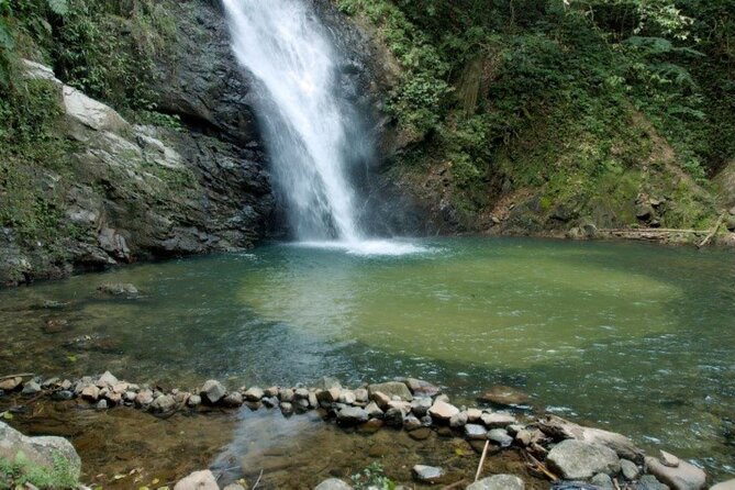 Coral Coast Adventure: Biausevu Waterfall & Natadola Beach - Natadola Beach brings the day to the coast