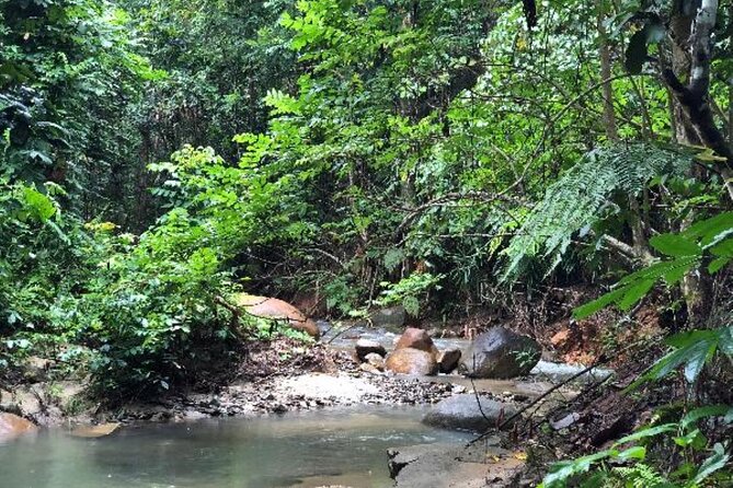 Coral Coast Adventure: Biausevu Waterfall & Natadola Beach - How to prepare for the river crossings and beach