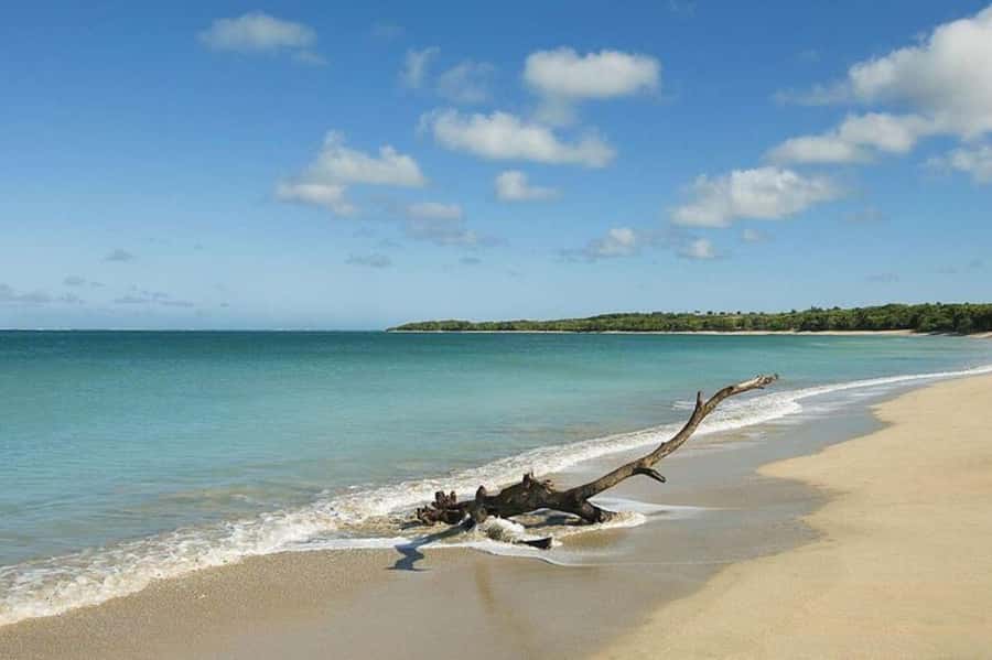 Coral Coast Adventure: Biausevu Waterfall & Natadola Beach - Who will enjoy this day most