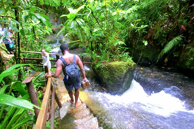 Customized Suva day tour - Key points to know before booking
