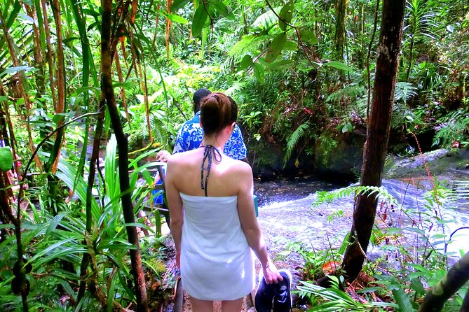 Customized Suva day tour - From city streets to forest trails