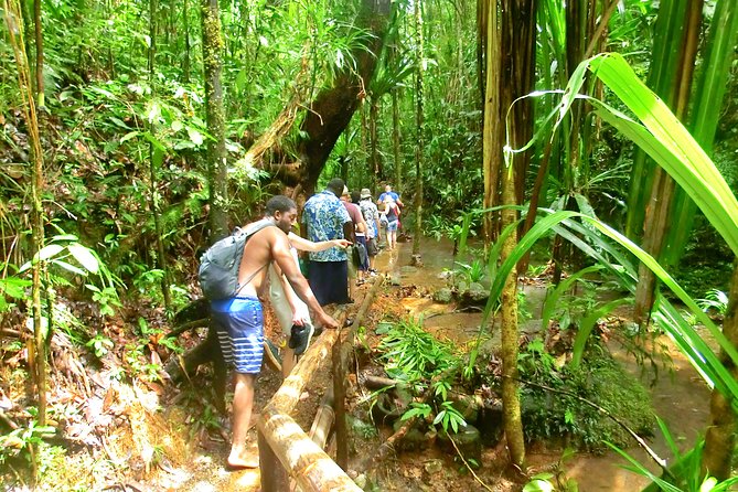 Customized Suva day tour - Rain, timing, and the three-hour limit