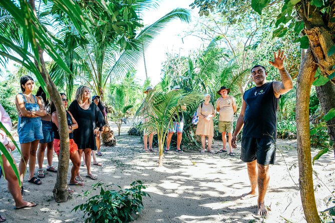 Day and Night Combo Tour - Who will enjoy this Fiji tour most