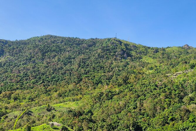 Discover Fiji's Key Attractions in Nadi for a Half-Day Visit - Walking among orchids at the Garden of the Sleeping Giant