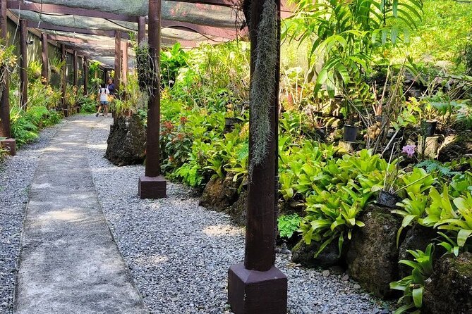 Discover Fiji's Key Attractions in Nadi for a Half-Day Visit - What the guides add to the day