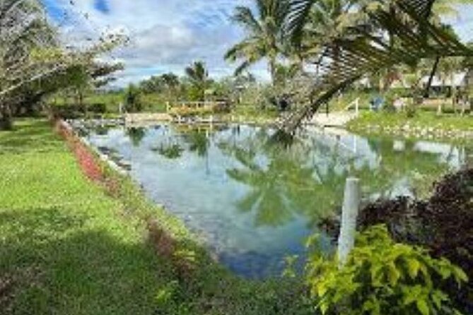 Discover Mud pool/Hot -Spring Nadi - Adding the Garden of the Sleeping Giant