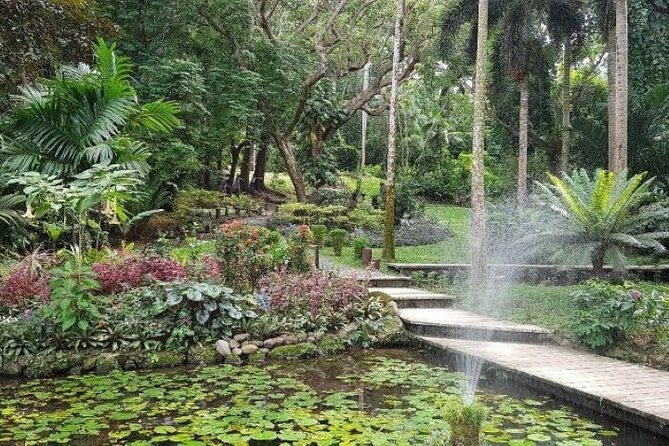Discover Mud pool/Hot -Spring Nadi - Group size, family fit, and the best kind of day