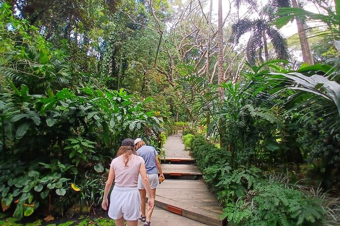 Discover Nadi with Sabeto Hotspring and Mudpool Tour - Viseisei Village adds cultural context