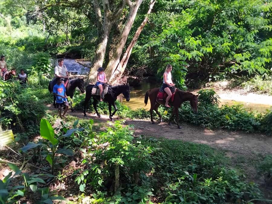 Fiji Biausevu waterfall & Village Tour - Key points to know before booking