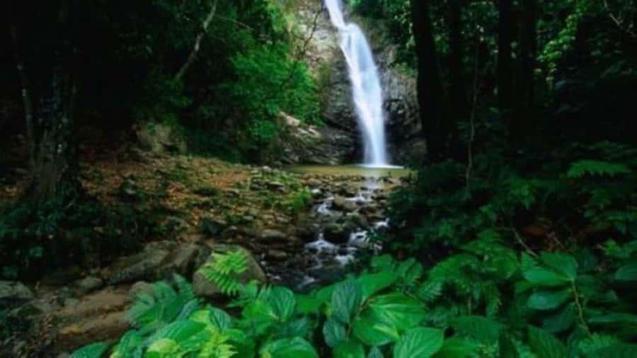 Fiji Biausevu waterfall & Village Tour - Lunch at Baravi Handicrafts and Cafe