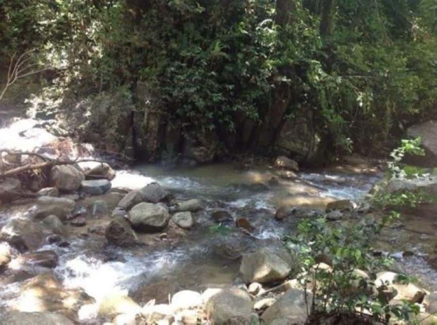 Fiji Biausevu waterfall & Village Tour - What $119 really buys you