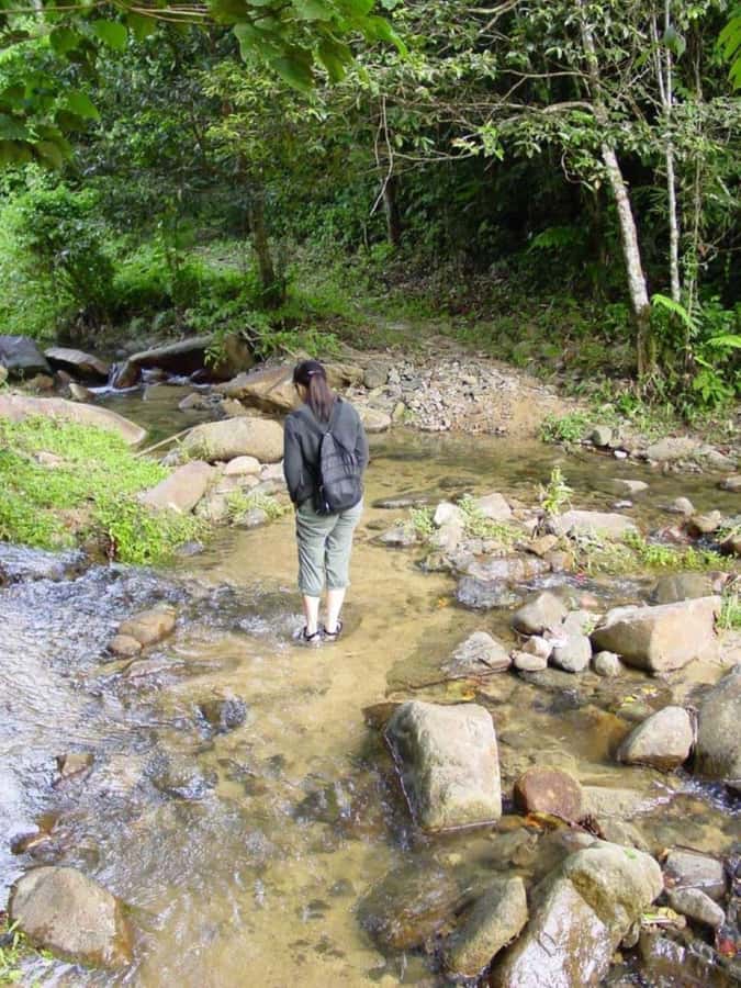 Fiji Biausevu waterfall & Village Tour - Practical details that can make or break the day