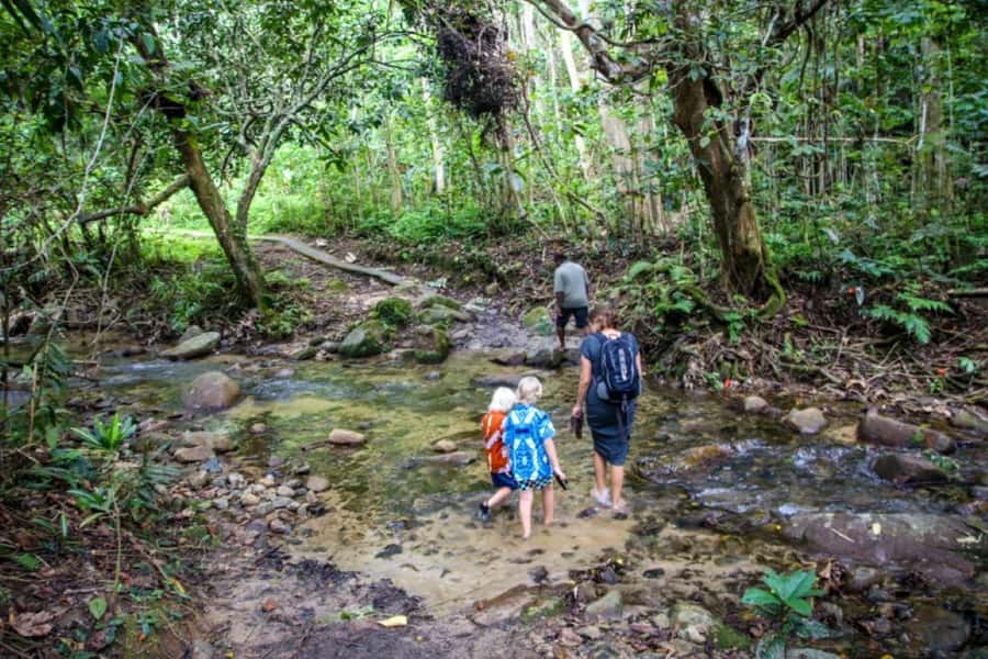 Fiji Biausevu waterfall & Village Tour - Should you book the Biausevu tour?