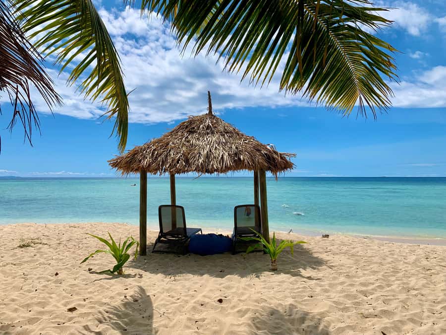 Fiji: Captain Cook Cruises - Island & Reef Day Trip - Snorkeling with a marine biologist