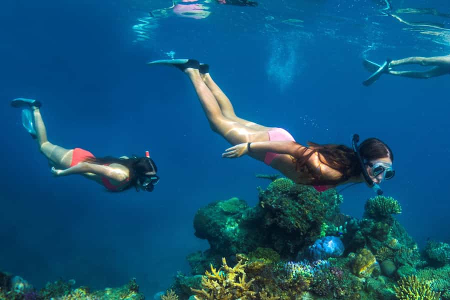 Fiji: Captain Cook Cruises - Island & Reef Day Trip - Should you book Captain Cook Cruises Fiji?