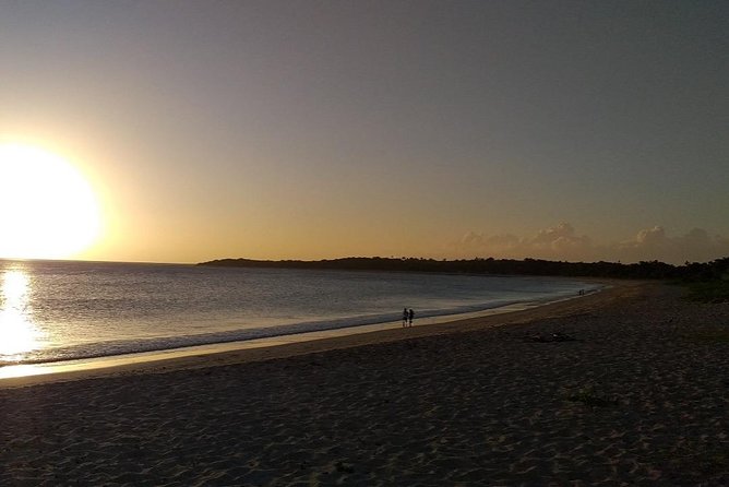 Fiji Coral Coast Venture - Who will enjoy this outing most