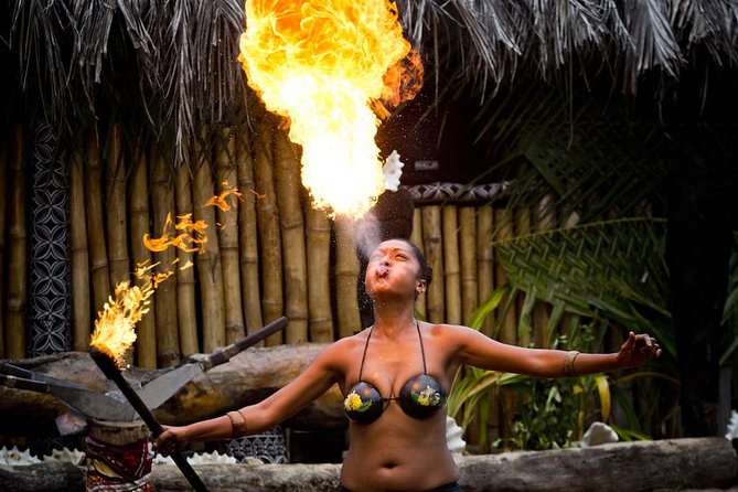 Fiji Cultural Full Day Island Cruise With Lunch & Transfers - What the $115.30 price includes