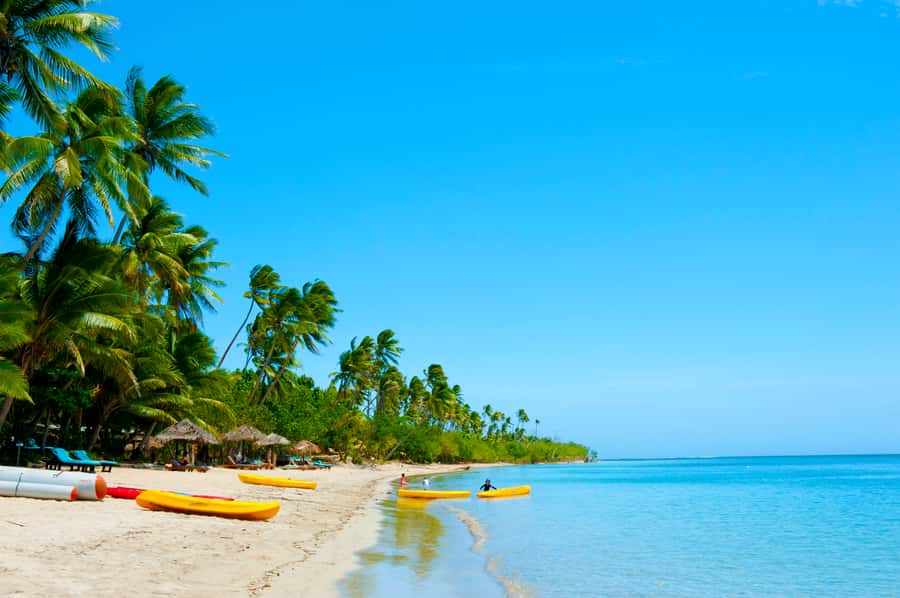 Fiji: Cultural Island Adventure & Jungle Cruise Experience - Who will enjoy this Fiji island experience most?