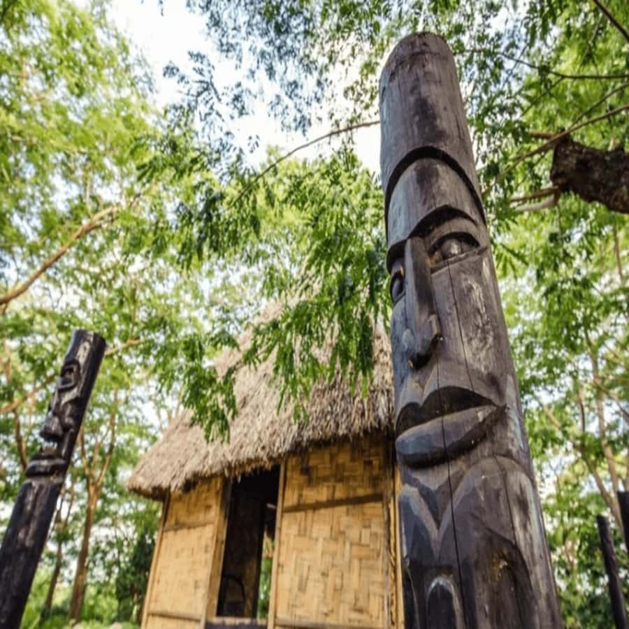 Fiji: Cultural Village Evening Tour with Dinner and Show - Why this Fijian evening feels different