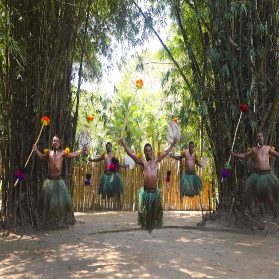 Fiji: Cultural Village Evening Tour with Dinner and Show - Is $76 a good value?