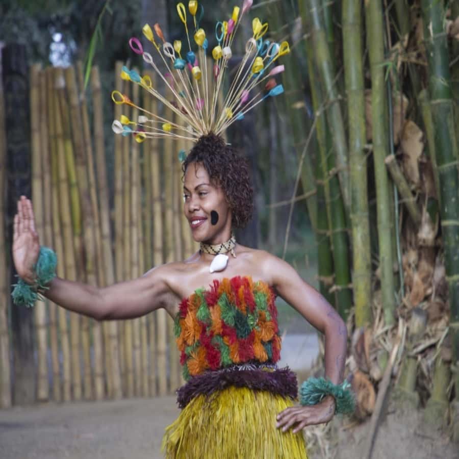 Fiji: Cultural Village Evening Tour with Dinner and Show - Who will enjoy this most?