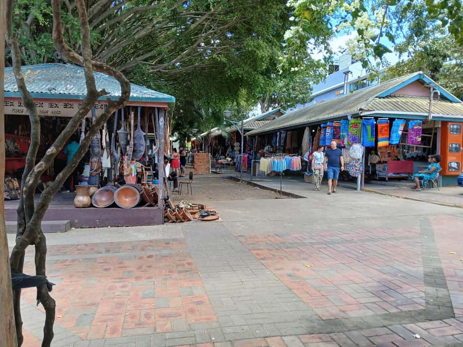 Fiji: Discover Nadi with Sabeto Hotspring and Mudpool Tour - Handicrafts and fresh produce in Nadi