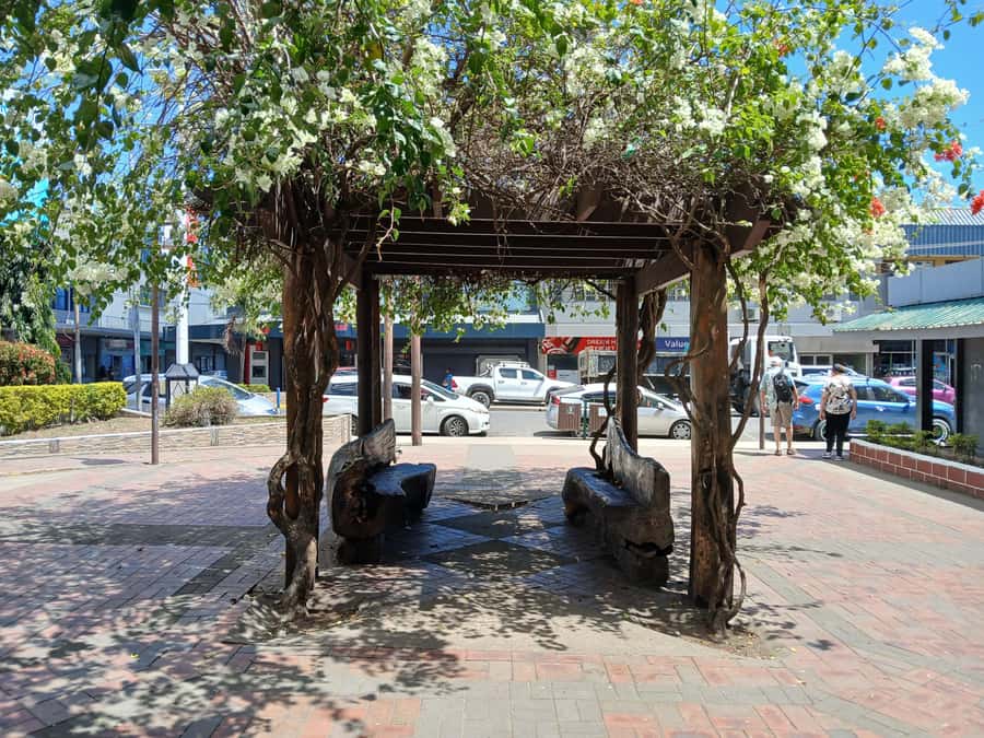 Fiji: Discover Nadi with Sabeto Hotspring and Mudpool Tour - Garden of the Sleeping Giant and its orchids