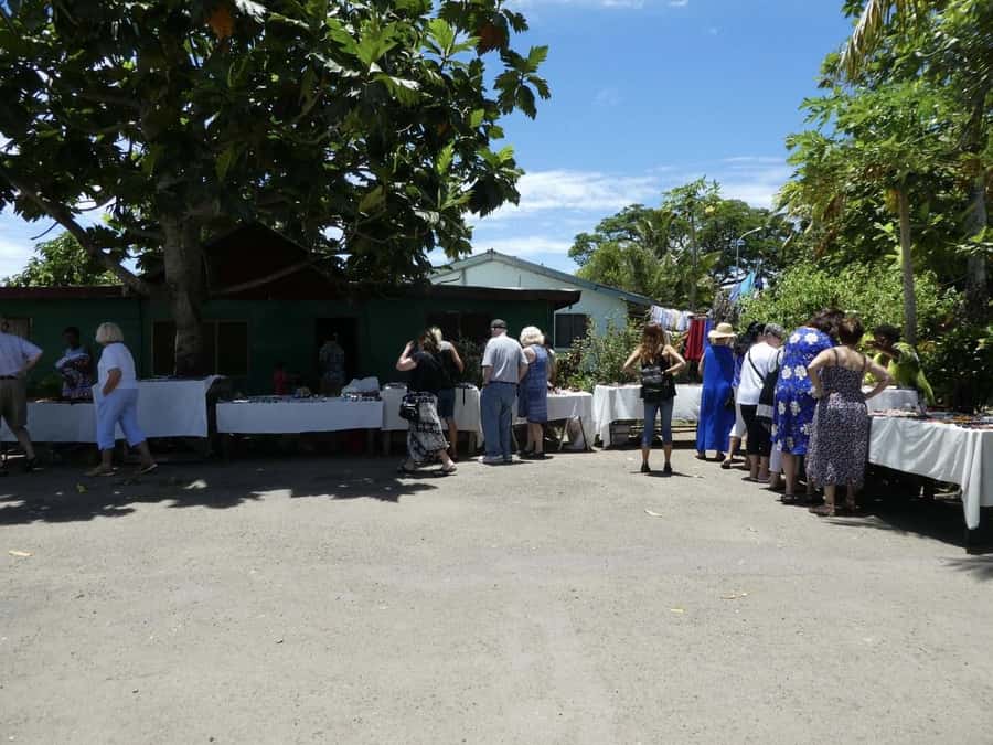 Fiji: Discover Nadi with Sabeto Hotspring and Mudpool Tour - The Sabeto mud pools and hot springs