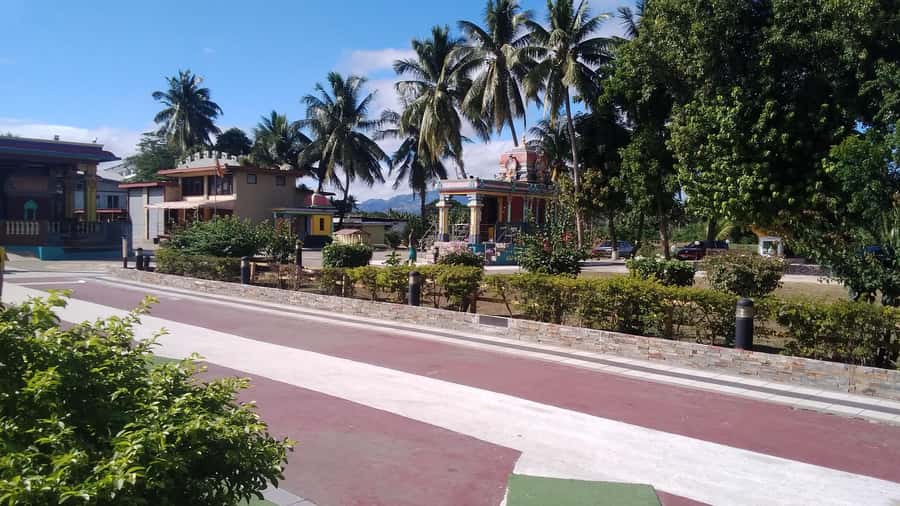 Fiji: Discover Nadi with Sabeto Hotspring and Mudpool Tour - Who will enjoy this experience most