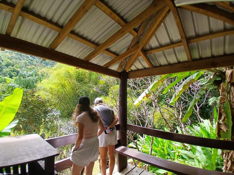FIJI: Garden of the Sleeping Giant Tour - The two-hour walk through flowers and forest