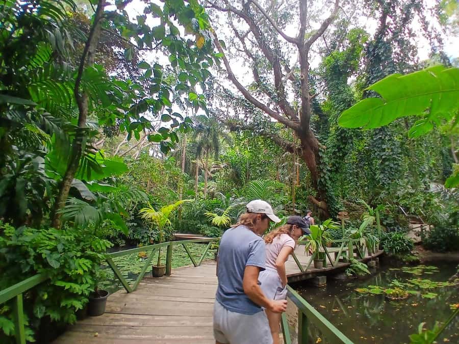 FIJI: Garden of the Sleeping Giant Tour - What the guide arrangement really means