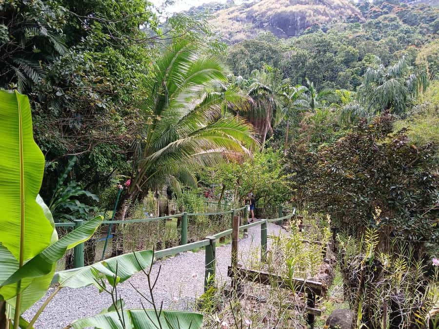FIJI: Garden of the Sleeping Giant Tour - Timing: why 9 a.m. makes sense