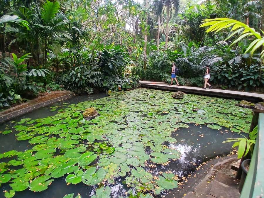 FIJI: Garden of the Sleeping Giant Tour - Who will enjoy this outing most?