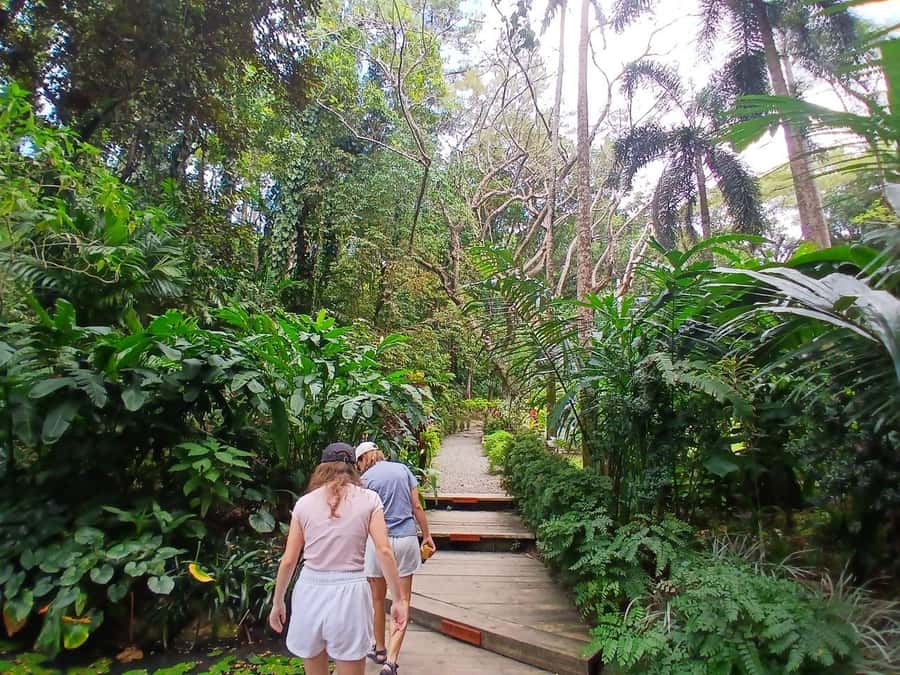 FIJI: Garden of the Sleeping Giant Tour - What to pack and what to skip