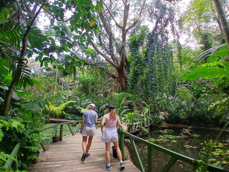 FIJI: Garden of the Sleeping Giant Tour - Raymond Burr’s orchid garden